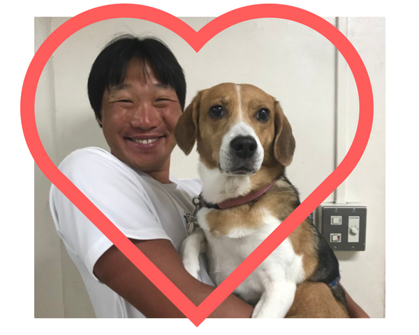 みやぞんの犬ラブちゃん犬種 年齢 性別は あらぽんの猫は 世界は広し 足の向くまま気の向くまま